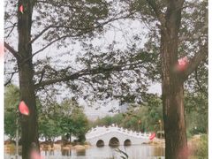 -长春市南湖公园