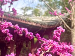 -望江楼公园