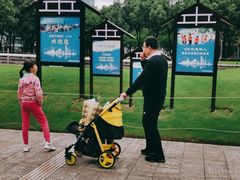 -重庆市江北嘴中央商务区中央公园