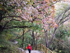-北京上方山国家森林公园