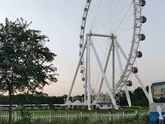 -日照海滨国家森林公园