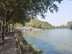 -李小龙乐园(顺德均安店)