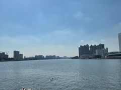 -洲头咀公园