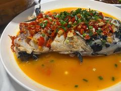 -全乐鱼馆·淳牌有机鱼直营店