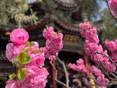 -颐和园
