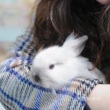 杭州探店🌈独特の兔子主题馆🐰瞬间满足少女心