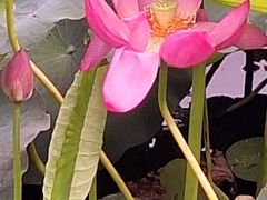 -羊亭河湿地公园