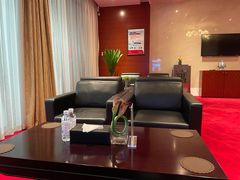 -郑州新郑国际机场T2航站楼-贵宾厅B区