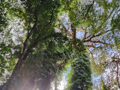 -七仙岭温泉国家森林公园