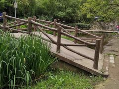 -白水寺森林公园