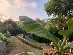 -HERRE·FARM 赫尔露营农场·团建聚会包场