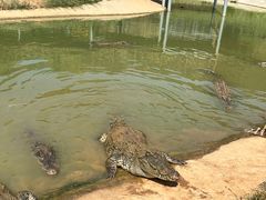 -太湖龙之梦