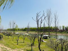 -洨河生态公园