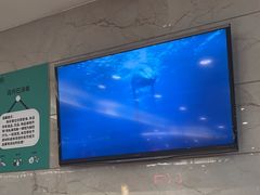 -初色海鲜自助(万丰路店)