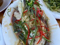 清蒸黑鲷鱼-渔鼎鲜海鲜餐厅(湄洲岛店)