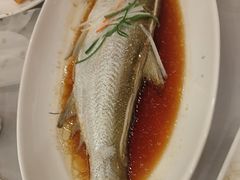 -全聚德(上海首店浦东店)