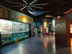 -海合安武汉极地海洋公园