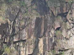 -浙北大峡谷