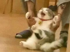 -鑫梦桌游谋杀之谜剧本杀俱乐部(联合商厦店)