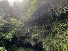 -海口火山口国家地质公园