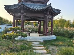 -水西公园