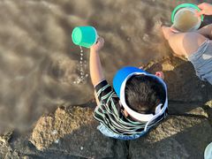 -南汇嘴观海公园