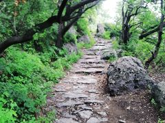 -阳台山自然风景区