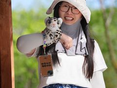 -青藏高原野生动物园