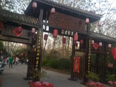 -合肥滨湖国家森林公园