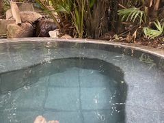 -汇雅温泉