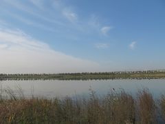 -绿堤公园