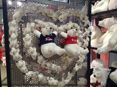 -济州岛泰迪熊博物馆