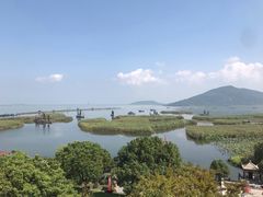 -湖鲜楼
