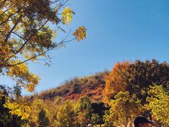 -北京西山国家森林公园