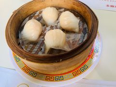 -憶廟街 X 沙角邨(太古城店)