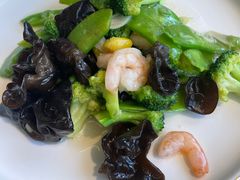 -启博美食城(孟家店)