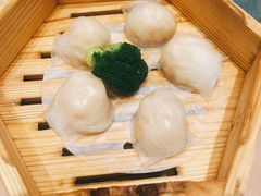 宝园虾饺皇-宝园酒家(美林M·LIVE天地东座店)