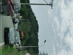 -青龙山国家森林公园
