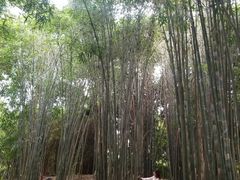 景点-金沙遗址博物馆