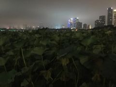 -鸡鸣汤包(仙林店)