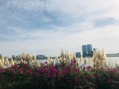 -星巴克(成都科学城店)