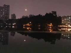 -荔湾湖公园