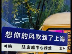 -陆家嘴中心绿地