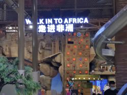 -卡通尼·Safari非洲探索乐园·生日会(金桥国际商业广场店)