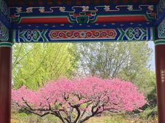 -莲花池公园