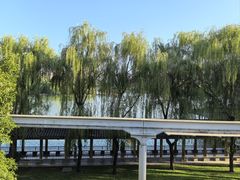 -小白鲨工夫潮膳(曲江店)