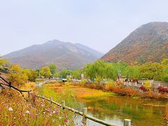 -快活林烧烤(红新路店)