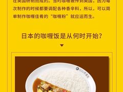 -COCO壱番屋(北京平安国际金融中心店)