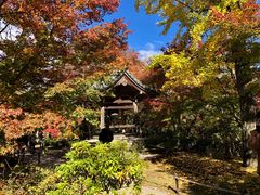 -常寂光寺