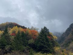 -叠溪松坪沟景区
